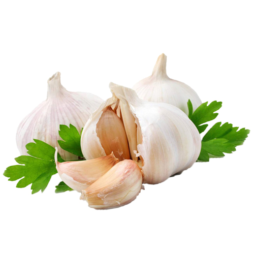 Awesome Product Image